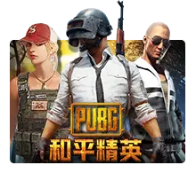 Pubg - SIGAMEN137