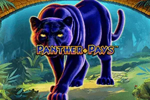 Playtech : Panther Pays - SIGAMEN137