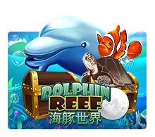 Joker123 : Dolphin Reef - SIGAMEN137