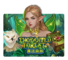 Enchanted Forest - SIGAMEN137